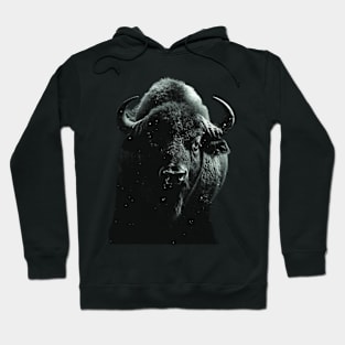 Buffalo Birth Miracles Hoodie